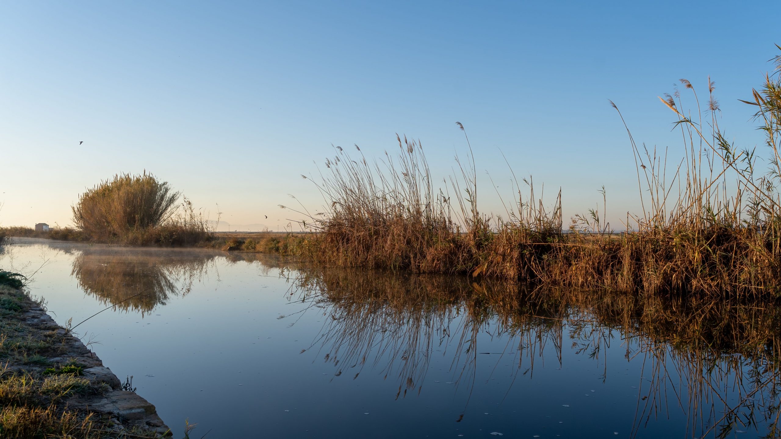 Sesión de preboda poética en la Albufera de Valencia